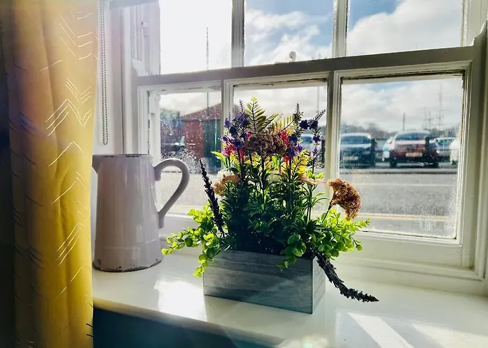 Swordfish **next To The Harbour** *